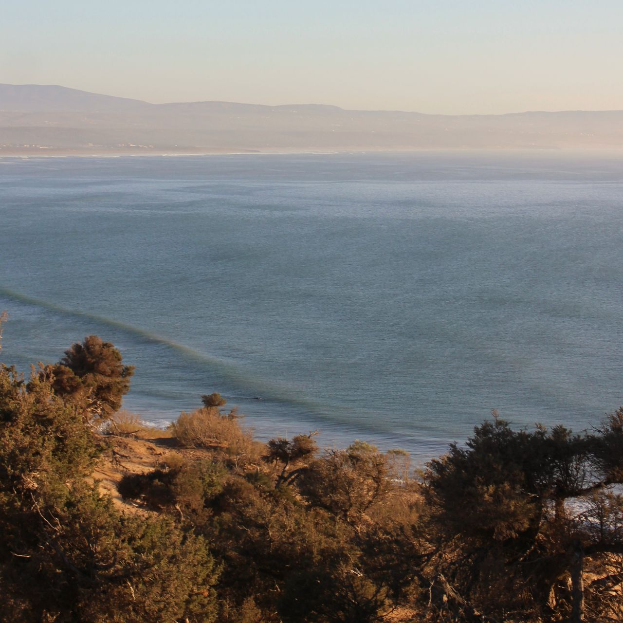 waves at the coast